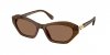 OKULARY SWAROVSKI SK 6048 108473 54 ROZMIAR M